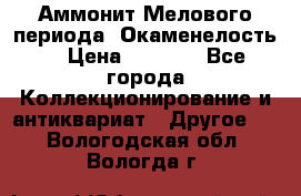 Аммонит Мелового периода. Окаменелость. › Цена ­ 2 800 - Все города Коллекционирование и антиквариат » Другое   . Вологодская обл.,Вологда г.